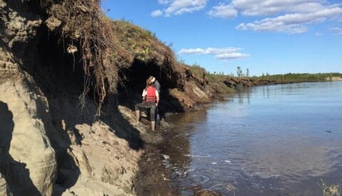 Scientists inspecting the riverbank near Huslia, ALaska, after a large erosion event. Photo: YRITWC