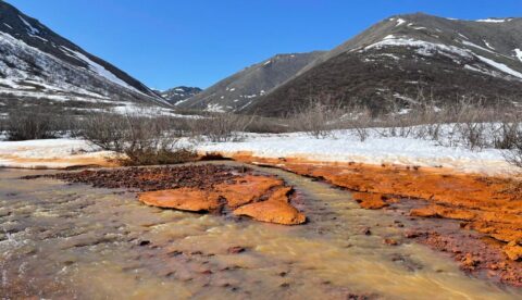 The orange rivers are This photo shows th mixing of an orange tributary with clearer waters of the Anaktok River.