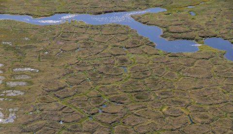 Polygonaler Permafrostboden und Oberflächengewässer auf Herschel Island, Yukon, Kanada. Foto: Jaroslav Obu