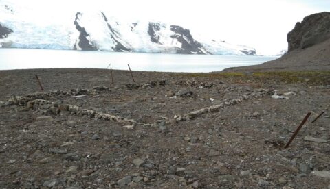 The ruins of what's left of the Giacomo Bovo Station in Antarctica today. Photo: Courtesy of Julius Fabbri